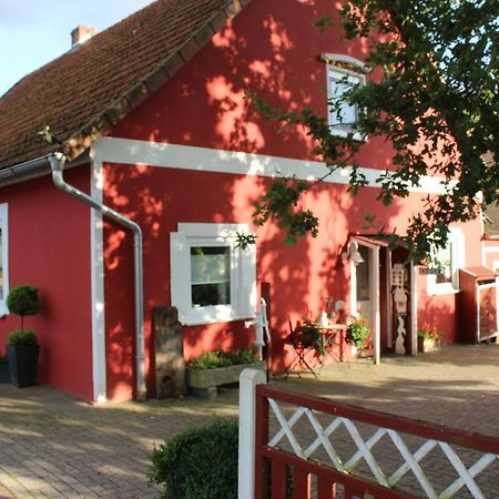 Ferienwohnung Zum Nordlicht Bassum Εξωτερικό φωτογραφία